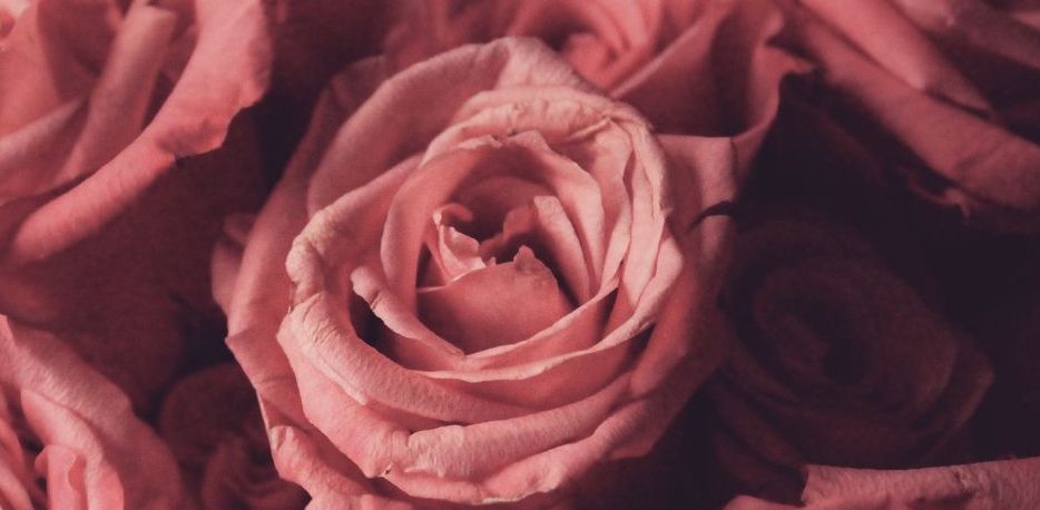 Focus on the Love You Do Have This Valentines Day